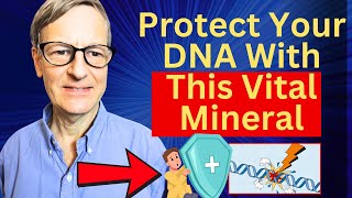 Protect Your DNA With This Vital Mineral [upl. by Eisyak877]