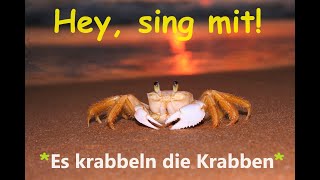 🎵🤍🦀🦀🦀🏖️🌞👀quotEs krabbeln die Krabbenquot  Kinder u Volkslieder  Liedtext Notenlink ↓InfoBoxquot [upl. by Yecats]