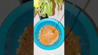 30 Tage 30 Rezepte  Chickpea Chips food recipe rezept [upl. by Felice]