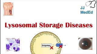 Lysosomal Storage Diseases  Overview and What You Need to Know [upl. by Coniah842]