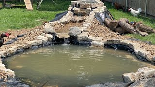 DIY Chicken amp Duck Pond  Backyard Homestead [upl. by Suirtimed]