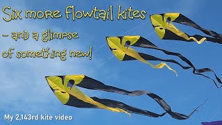 Six more flowtail kites and a glimpse of something new [upl. by Kalb]