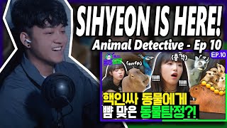 Choi Yena w Sihyeon  Animal Detective Episode 10  REACTION [upl. by Okir]