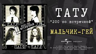 tATu  Мальчикгей Official Audio [upl. by Deckert]