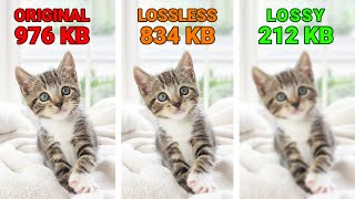 What Is the Difference in Lossy vs Lossless Compression [upl. by Aryad340]