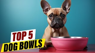 5 MustHave Dog Bowls for Every Dog Owner Tips and Tricks [upl. by Catriona]