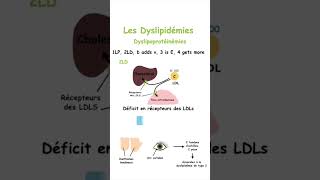 Retenez les Différentes Dyslipidémies sans Effort grâce à cette Méthode Mnémotechnique shorts [upl. by Grearson]