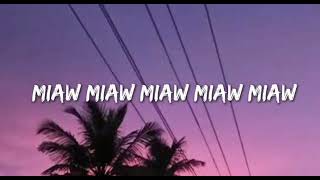 Meow meow meow meow sad song Lyric video [upl. by Gustave]