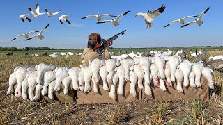 Decoying Snow Geese Over a Tiny Spread CLOSE SHOTS [upl. by Modie326]