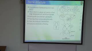 Myoglobin and hemoglobin الميوجلوبين والهيموجلوبين [upl. by Lecrad]