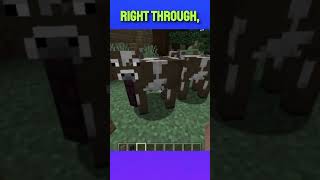 95 of Minecraft Players Dont Know This minecraft minecraftshorts minecraftmemes gaming [upl. by Alveta]