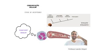 Farmacologia Farmacodinâmica tipos de receptores [upl. by Sarad557]