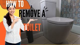 How To Remove Back To Wall Toilet amp Replace Parts Inside To Stop The Toilet Leaking [upl. by Rockwood]