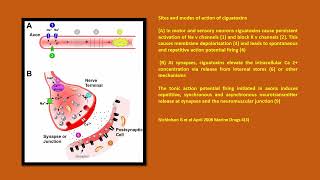 Neurology Quiz 85 Marine neurotoxins [upl. by Netniuq]