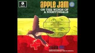 John Lennon  Help Me to Help Myself 71 version  cover by Apple Jam [upl. by Bouchard545]