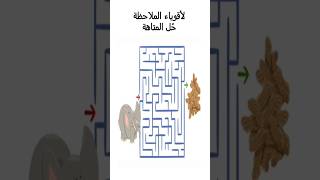 maze حل المتاهة [upl. by Wahlstrom]