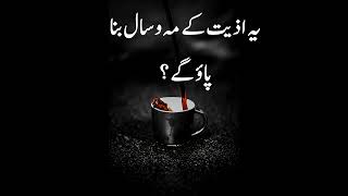 Ye Izeat Ke Maho Sal Bana Pao Gey I Best Urdu Poetry amp Inspirations I Slickers DIARY [upl. by Nnaihs691]