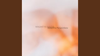 Magnetic Fields [upl. by Noremac]