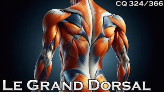 Anatomie du Muscle Grand Dorsal  CQ324 [upl. by Reinhold]