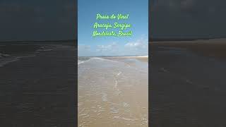 beach aracaju sergipe brazil viral shorts praia paradise beautiful instrumental top [upl. by Naelopan]