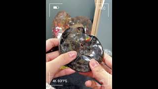 🇨🇦斑彩螺掌中宝！小小一个 能量无穷！Ammonite Full Fossil [upl. by Lasky]