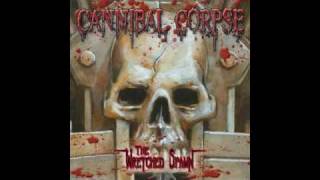 Cannibal Corpse  Psychotic Precision [upl. by Neillij892]