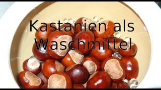 Kastanien als Waschmittel [upl. by Edyaj]