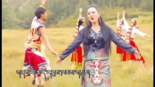 Tibetan Dance song by Tsering Lhamo [upl. by Nadabas160]