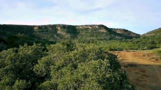 Cedar Eaters of Texas HD Aerial Drone Video [upl. by Potts422]