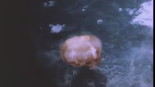 Rare footage of Nagasaki atomic bombing [upl. by Soiritos965]