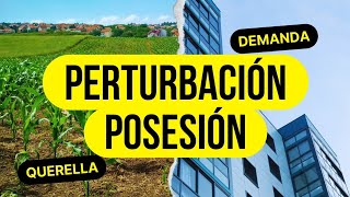 Perturbación a la Posesión Querellas y Demandas [upl. by Prober50]