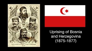 Uprising of Bosnia and Herzegovina 18751877 [upl. by Annalise610]