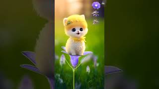 Billu short cat video song catvideo shorts trendingshorts [upl. by Aitnas521]