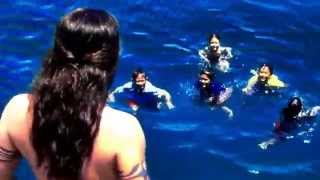 50 First Dates Diving Scene [upl. by Vena]