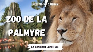 Zoo de la Palmyre 4K Sony A7 IV [upl. by Nyrtak975]