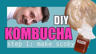 DIY Kombucha SCOBY  Its Easy [upl. by Ingemar]