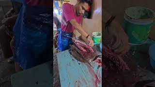 Fillet every fish like a professional chef fish tunasteak fishfillet shorts fishcutting [upl. by Oesile]