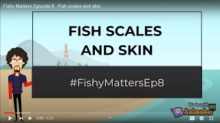 Scales and skin in fishes Fishy Matters  Episode 8 [upl. by Volkan304]