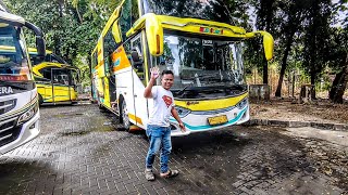 LAMA GAK NONGOL DI SUGENG RAHAYU TERNYATA DRIVER ALI EMON PINDAH KE BUS TIVIDI GOLD CLASS [upl. by Jolyn]