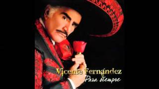 Vicente Fernandez El ultimo en la fila [upl. by Reinhart867]