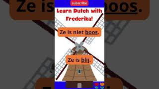 SPEAK DUTCH How to learn Dutch a1 a2 b1 b2 fun learndutch nederlands inburgering exam nt2 [upl. by Sevik768]