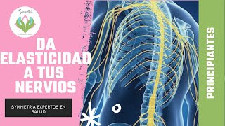 Neurodinámia ¿Cómo elongar los nervios Movilizaciones neuromeningeas [upl. by Ynnohj6]