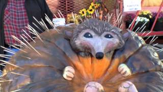 Damariscotta Maine Pumpkinfest 2014 [upl. by Benedetta]