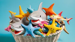 Sea Animals Review Shark puffer Starfish Clown Tang Eel Gold fish Sea Horse Dolphin LIVE 14 [upl. by Sib]