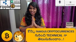 What Are The Different Types Of CryptoCurrency 7 Famous Types Explained  Telugu [upl. by Kaete61]