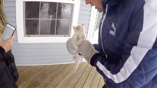 Trovano un gatto congelato in giardino Quello che accade è un vero miracolo damore [upl. by Leafar643]