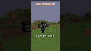 Minecraft Storagest Mob minecraft shorts minecraftshorts [upl. by Nlycaj]