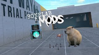 Top 10 best Patch 5 bonelab mods [upl. by Annabel]