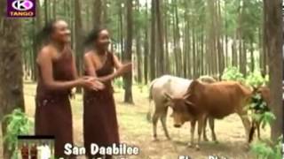 Fayyisaa Furii San Daabilee Oromo Music [upl. by Belak825]