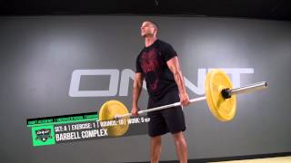 Full Body Animal Strength Workout [upl. by Ellives]